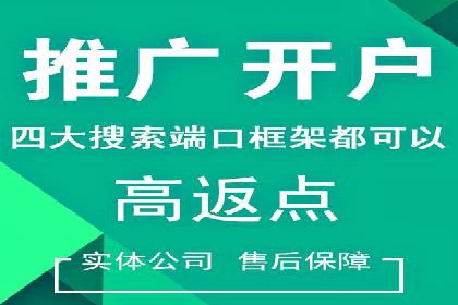 竞价推广实战：经典案例深度解析
